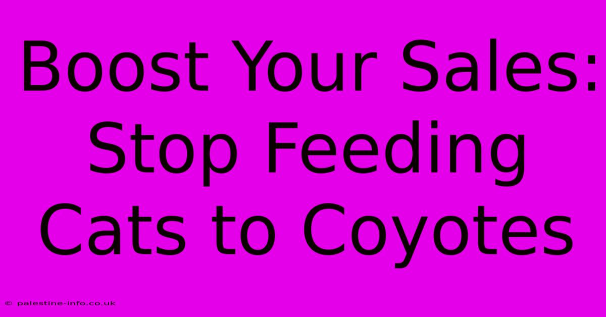 Boost Your Sales: Stop Feeding Cats To Coyotes