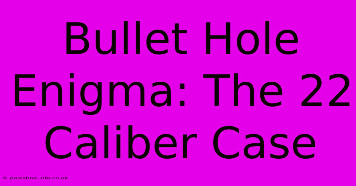 Bullet Hole Enigma: The 22 Caliber Case