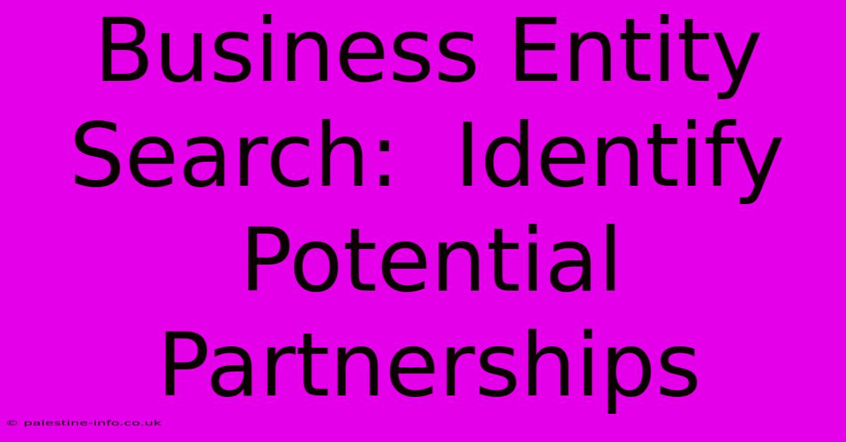 Business Entity Search:  Identify Potential Partnerships