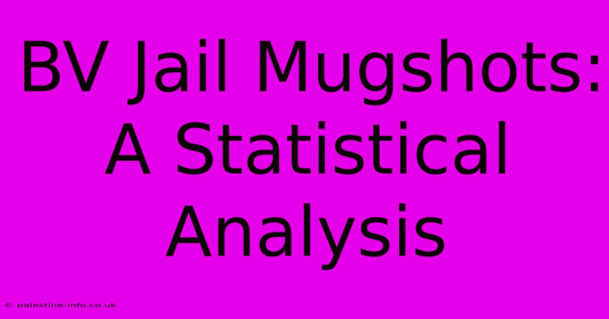 BV Jail Mugshots:  A Statistical Analysis