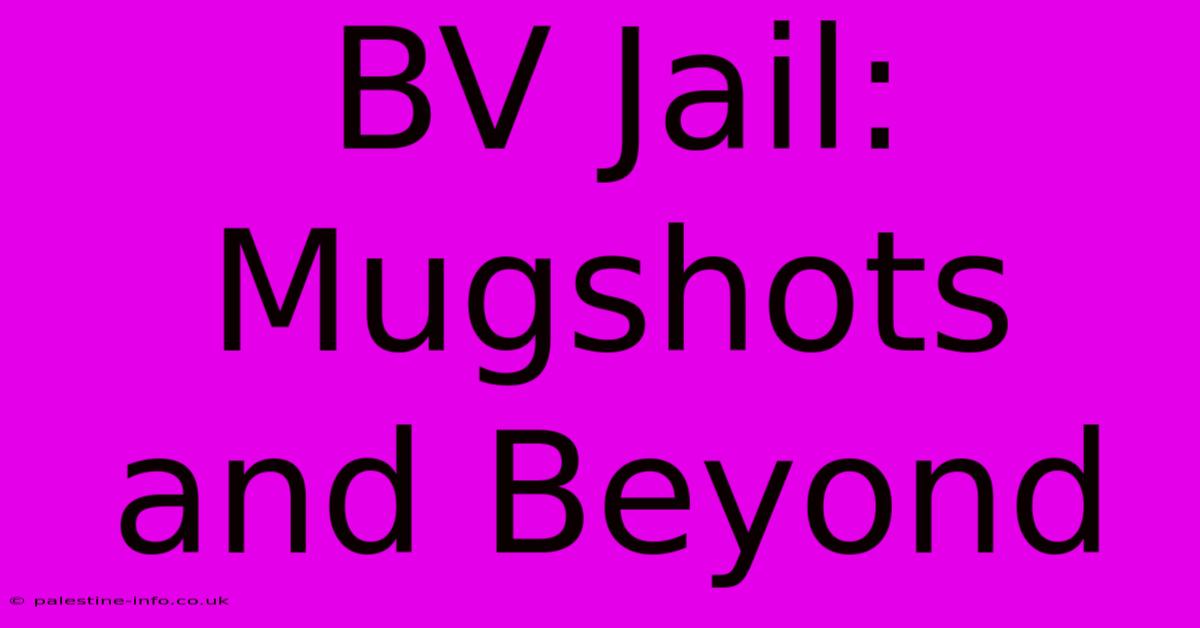 BV Jail:  Mugshots And Beyond