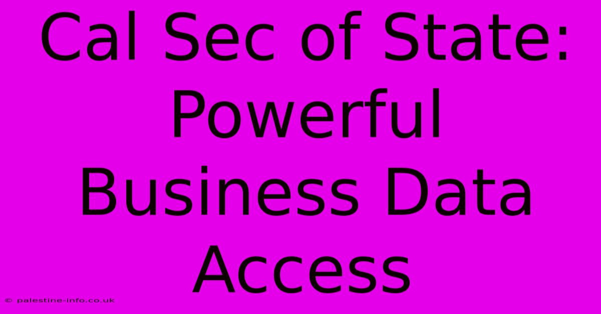 Cal Sec Of State: Powerful Business Data Access