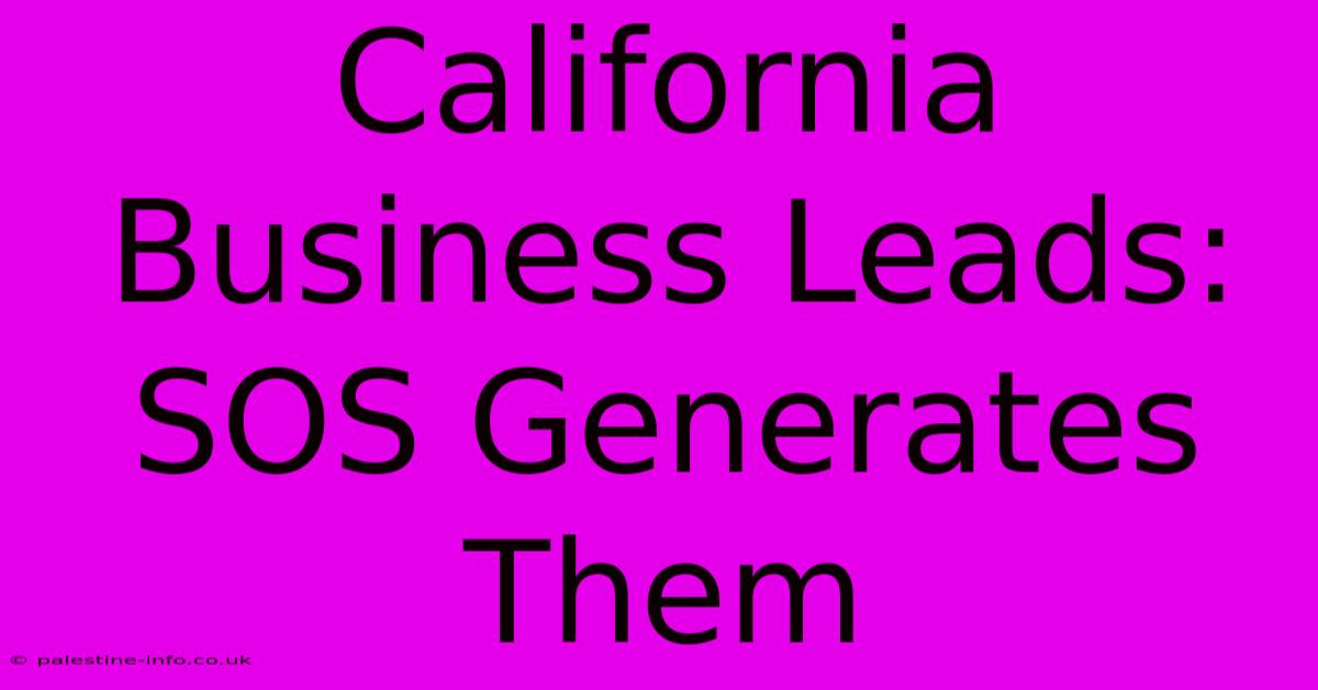 California Business Leads: SOS Generates Them