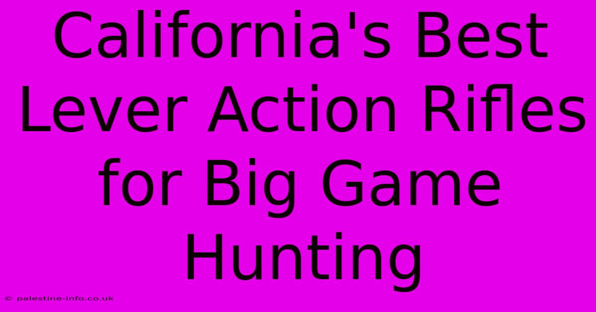 California's Best Lever Action Rifles For Big Game Hunting