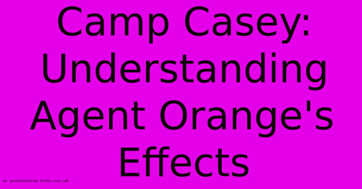 Camp Casey: Understanding Agent Orange's Effects