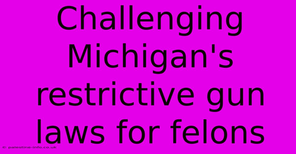 Challenging Michigan's Restrictive Gun Laws For Felons