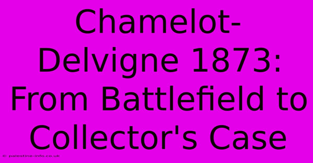 Chamelot-Delvigne 1873: From Battlefield To Collector's Case