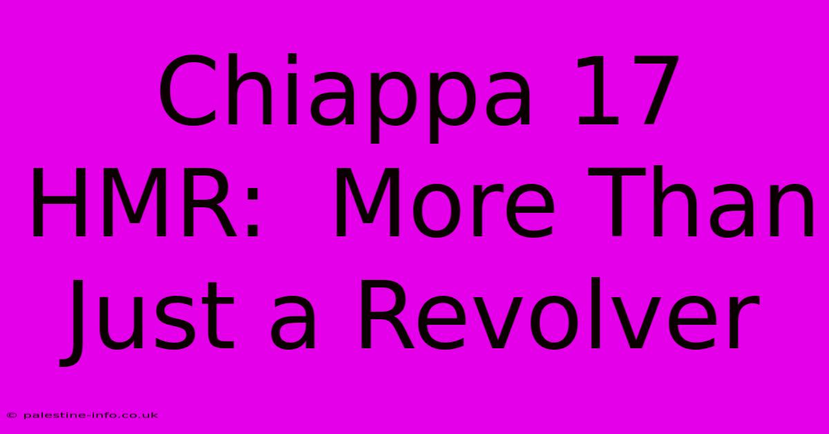 Chiappa 17 HMR:  More Than Just A Revolver