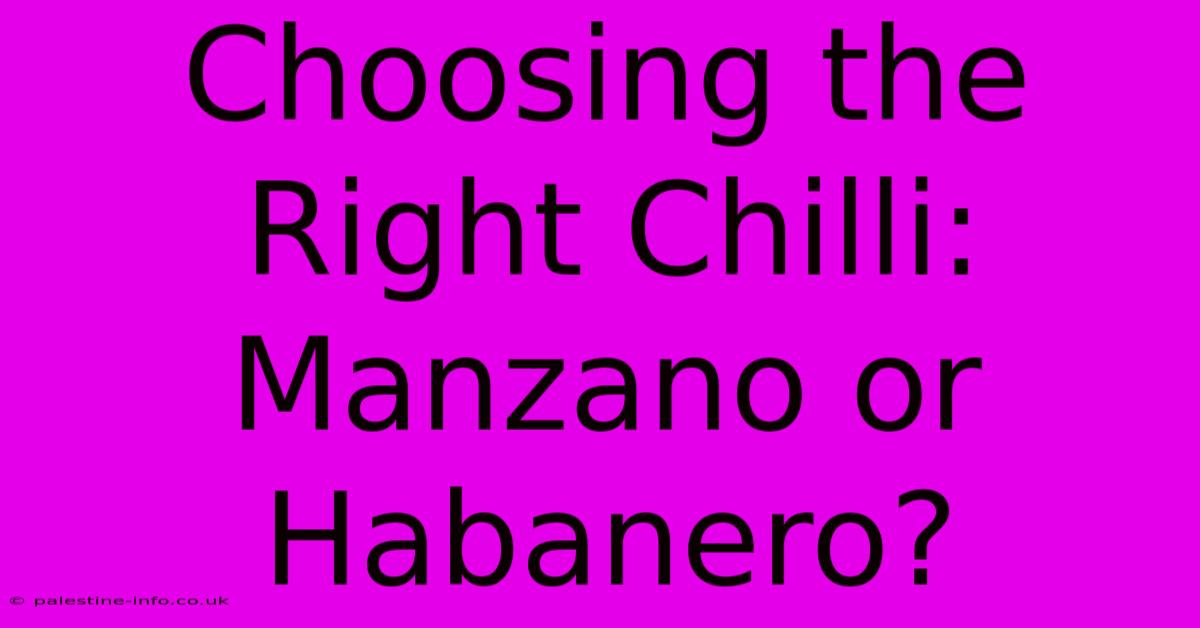 Choosing The Right Chilli: Manzano Or Habanero?