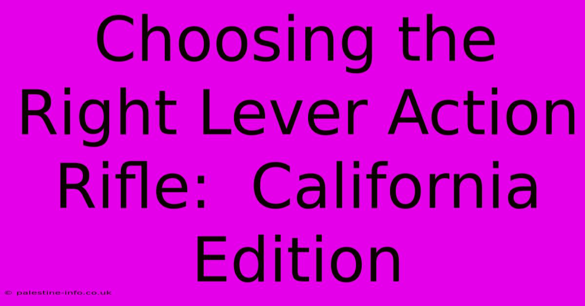 Choosing The Right Lever Action Rifle:  California Edition