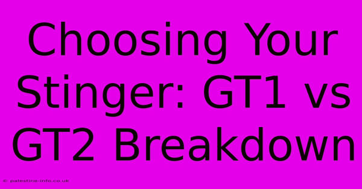 Choosing Your Stinger: GT1 Vs GT2 Breakdown