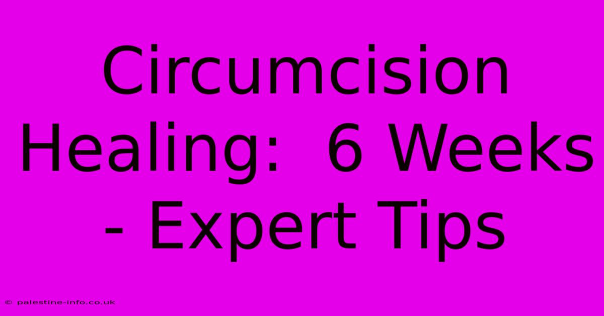 Circumcision Healing:  6 Weeks - Expert Tips