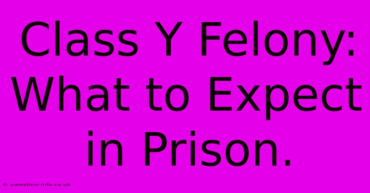 Class Y Felony:  What To Expect In Prison.