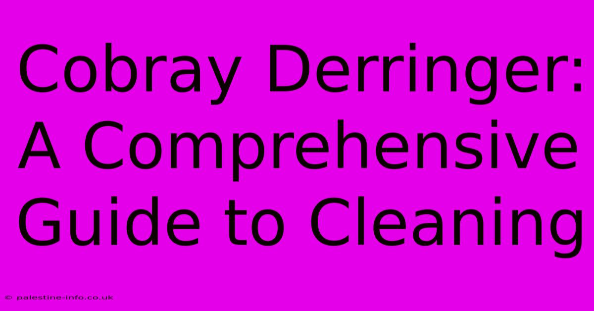 Cobray Derringer:  A Comprehensive Guide To Cleaning