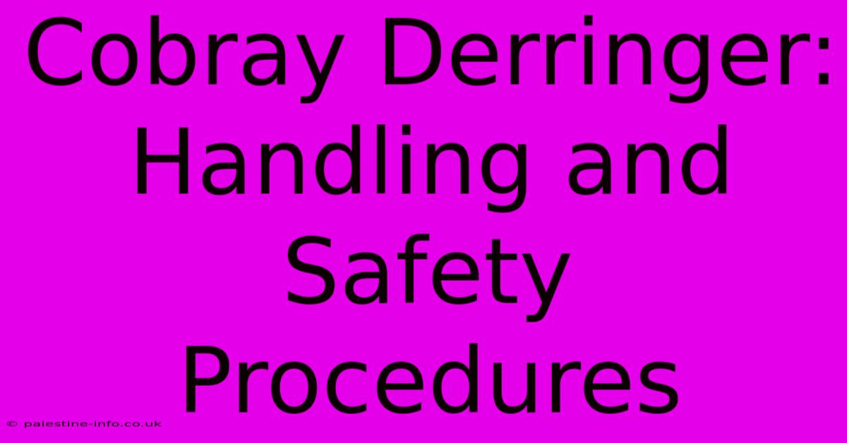 Cobray Derringer:  Handling And Safety Procedures