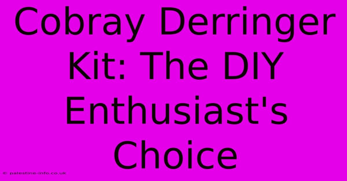 Cobray Derringer Kit: The DIY Enthusiast's Choice