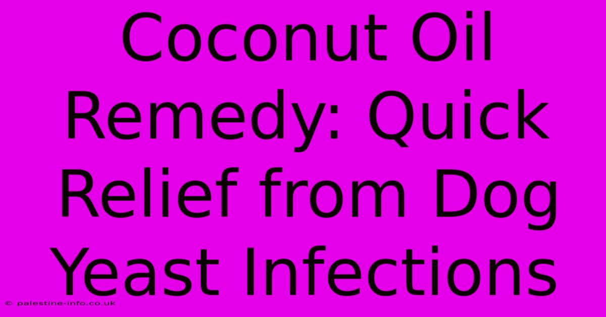 Coconut Oil Remedy: Quick Relief From Dog Yeast Infections