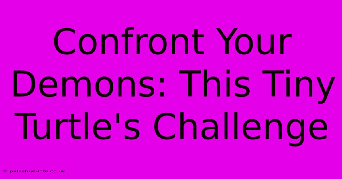 Confront Your Demons: This Tiny Turtle's Challenge