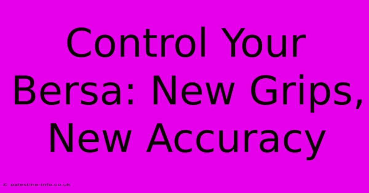 Control Your Bersa: New Grips, New Accuracy