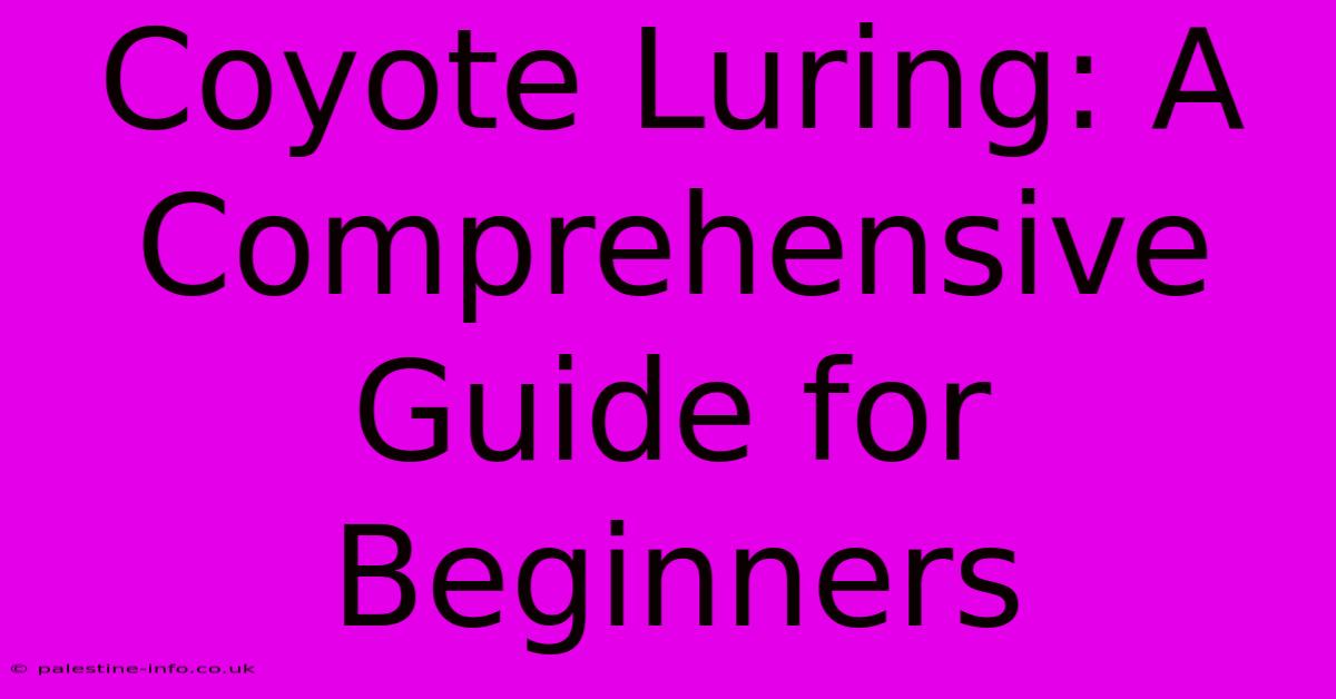 Coyote Luring: A Comprehensive Guide For Beginners