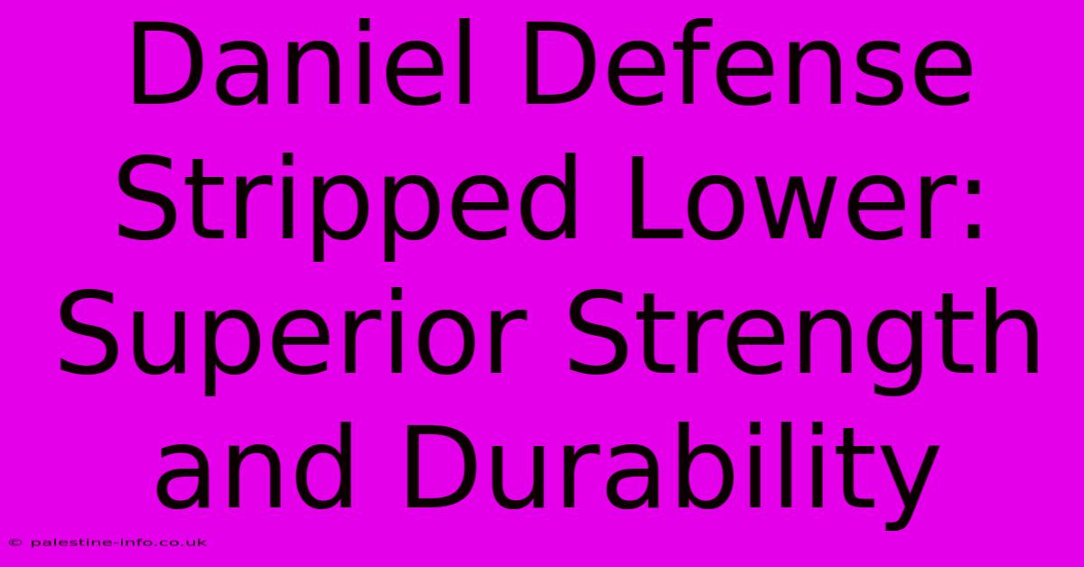 Daniel Defense Stripped Lower: Superior Strength And Durability