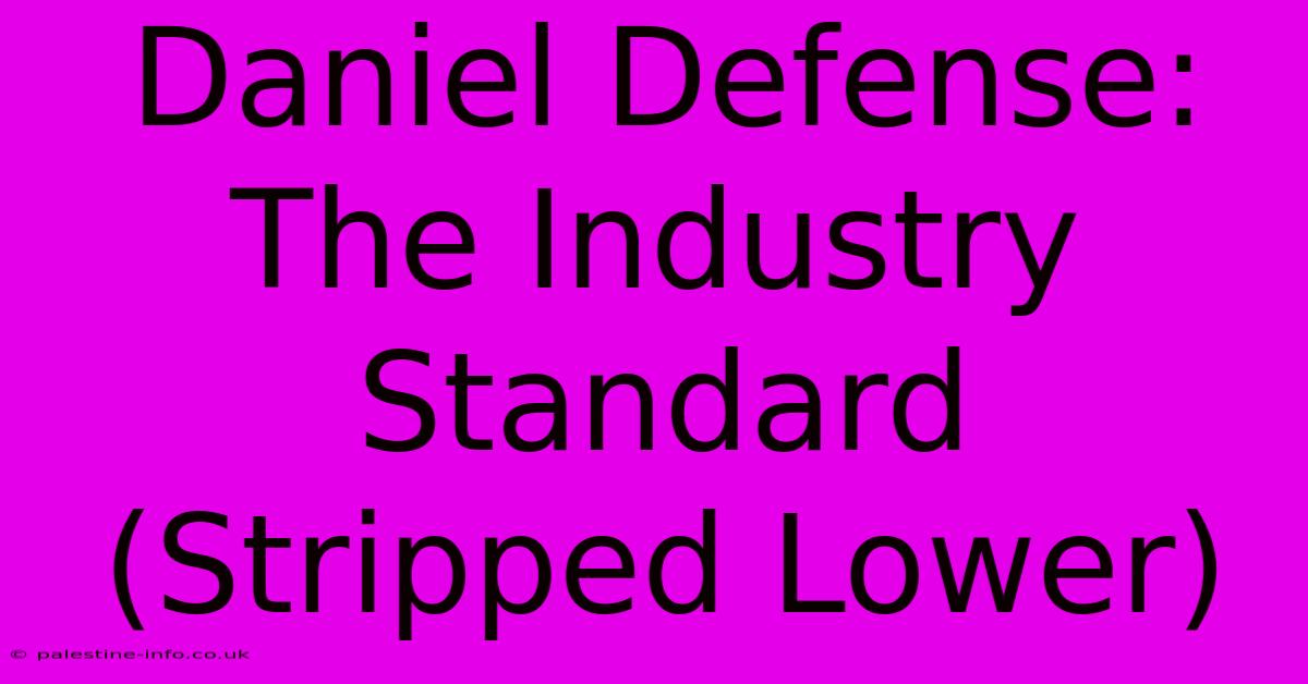 Daniel Defense: The Industry Standard (Stripped Lower)