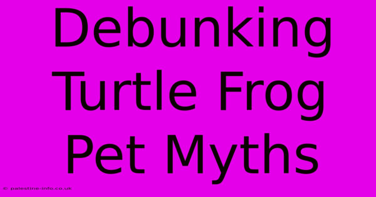 Debunking Turtle Frog Pet Myths