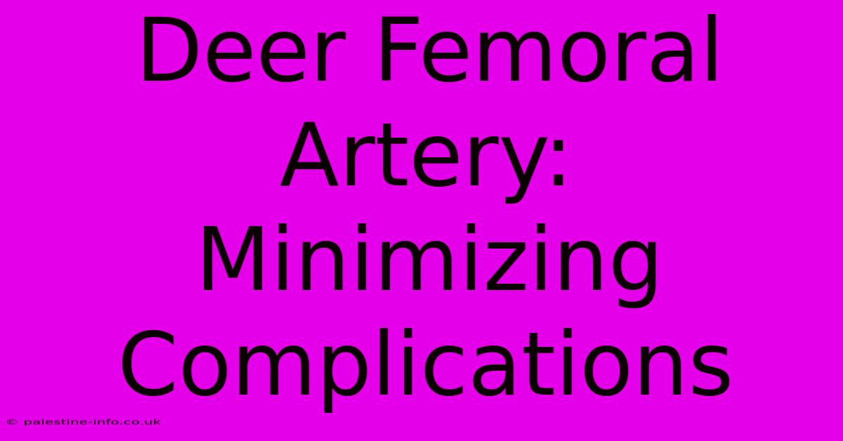 Deer Femoral Artery:  Minimizing Complications