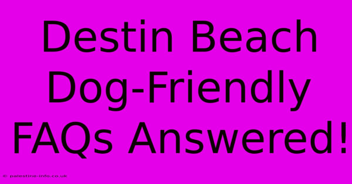 Destin Beach Dog-Friendly FAQs Answered!