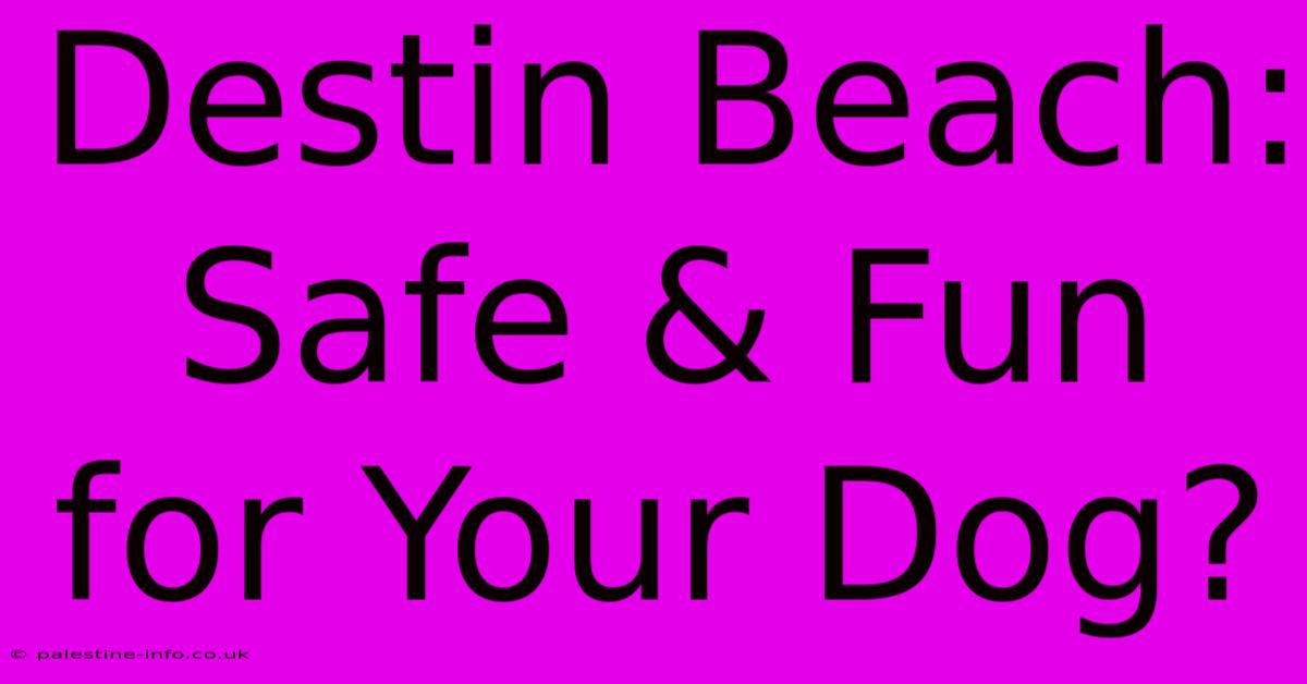 Destin Beach: Safe & Fun For Your Dog?