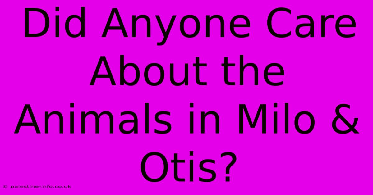 Did Anyone Care About The Animals In Milo & Otis?