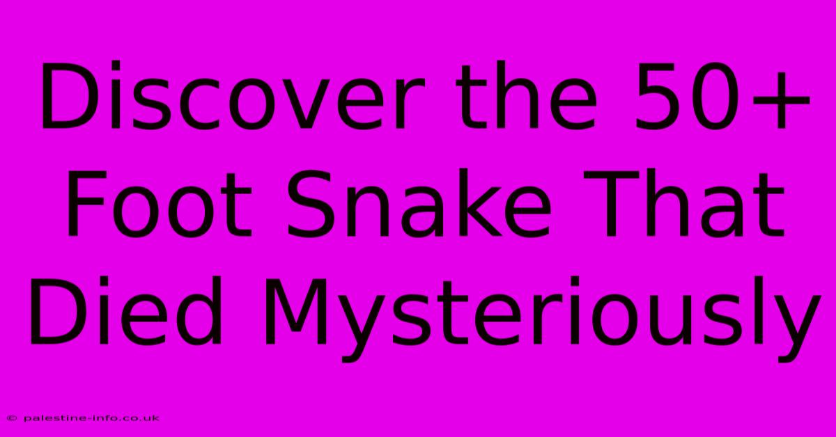 Discover The 50+ Foot Snake That Died Mysteriously