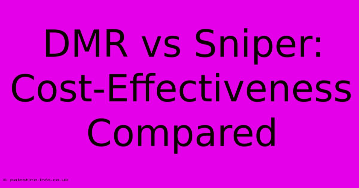 DMR Vs Sniper: Cost-Effectiveness Compared