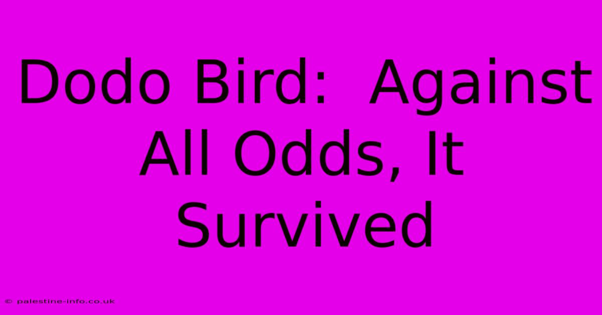 Dodo Bird:  Against All Odds, It Survived