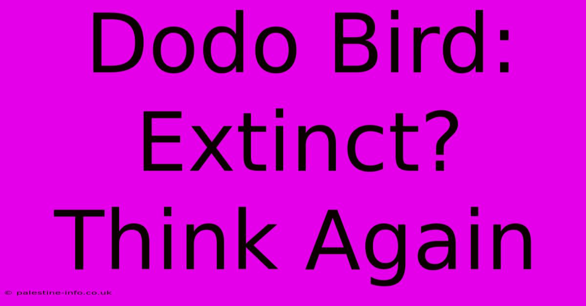 Dodo Bird:  Extinct? Think Again