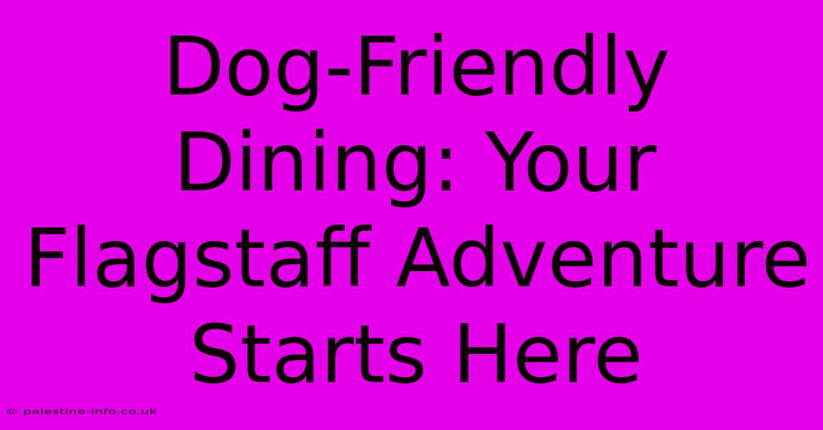 Dog-Friendly Dining: Your Flagstaff Adventure Starts Here