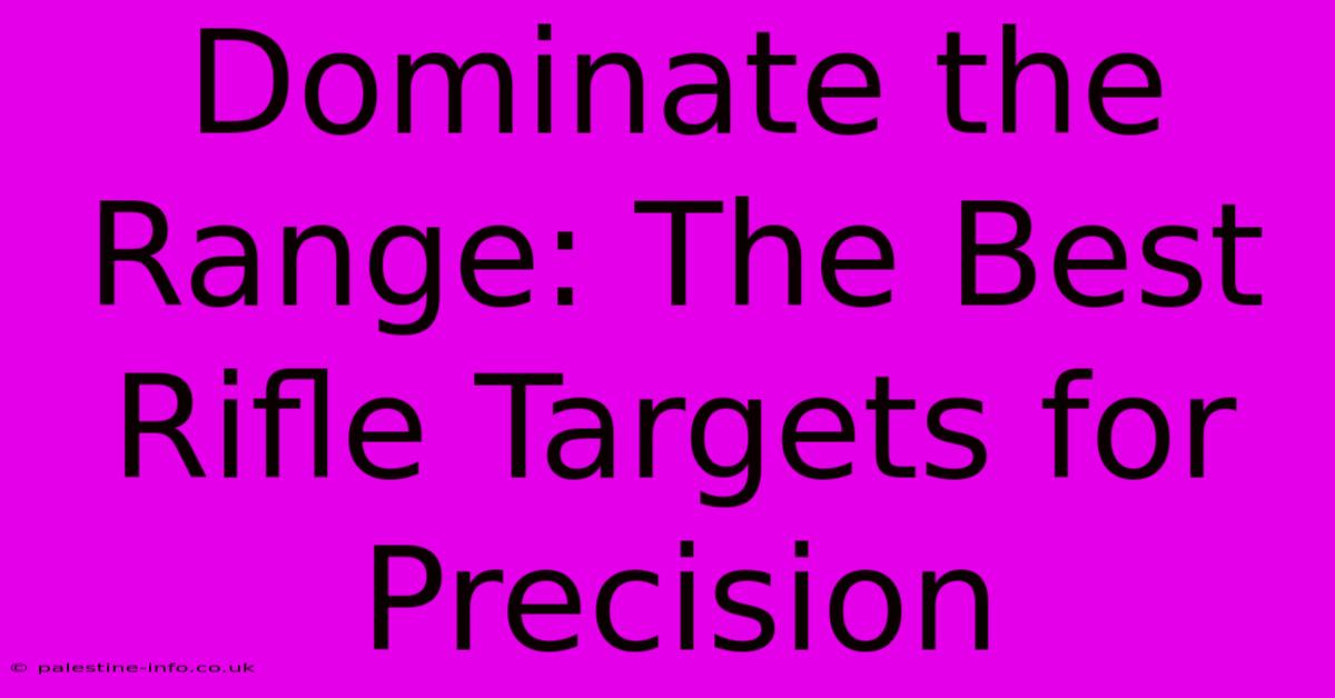 Dominate The Range: The Best Rifle Targets For Precision