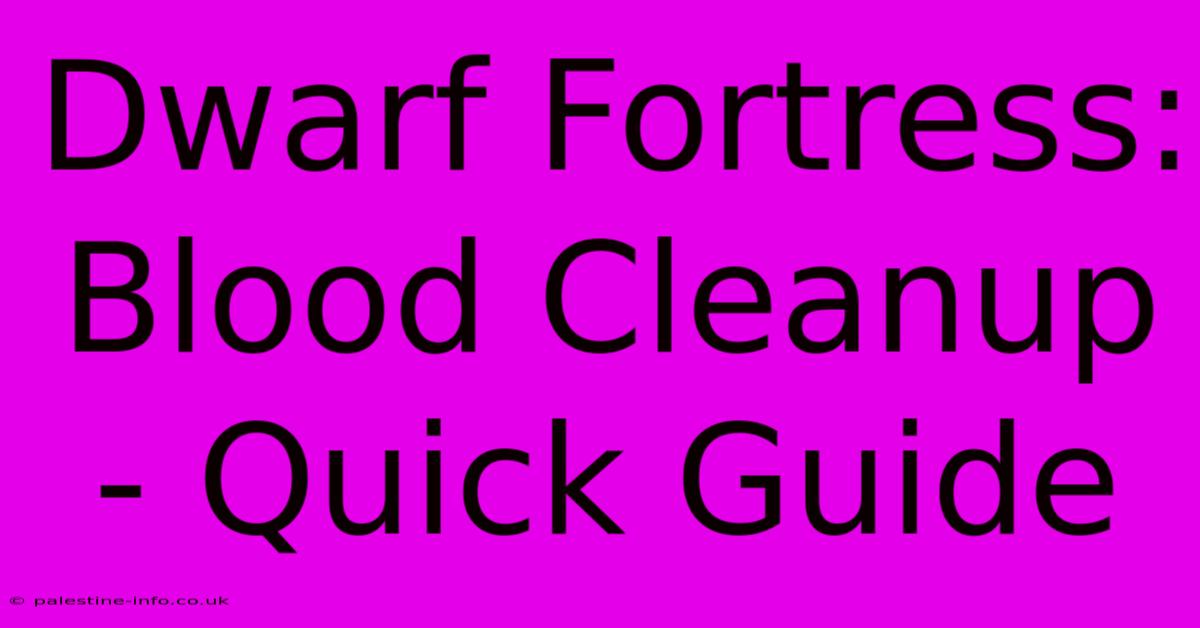 Dwarf Fortress: Blood Cleanup - Quick Guide