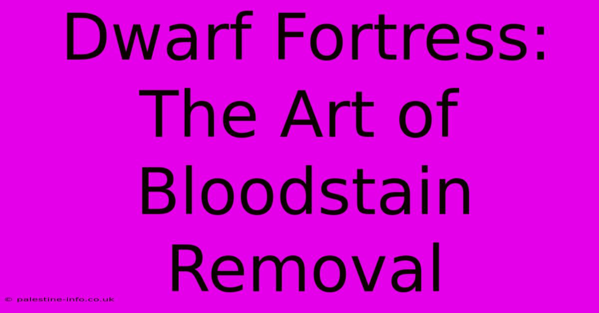 Dwarf Fortress:  The Art Of Bloodstain Removal