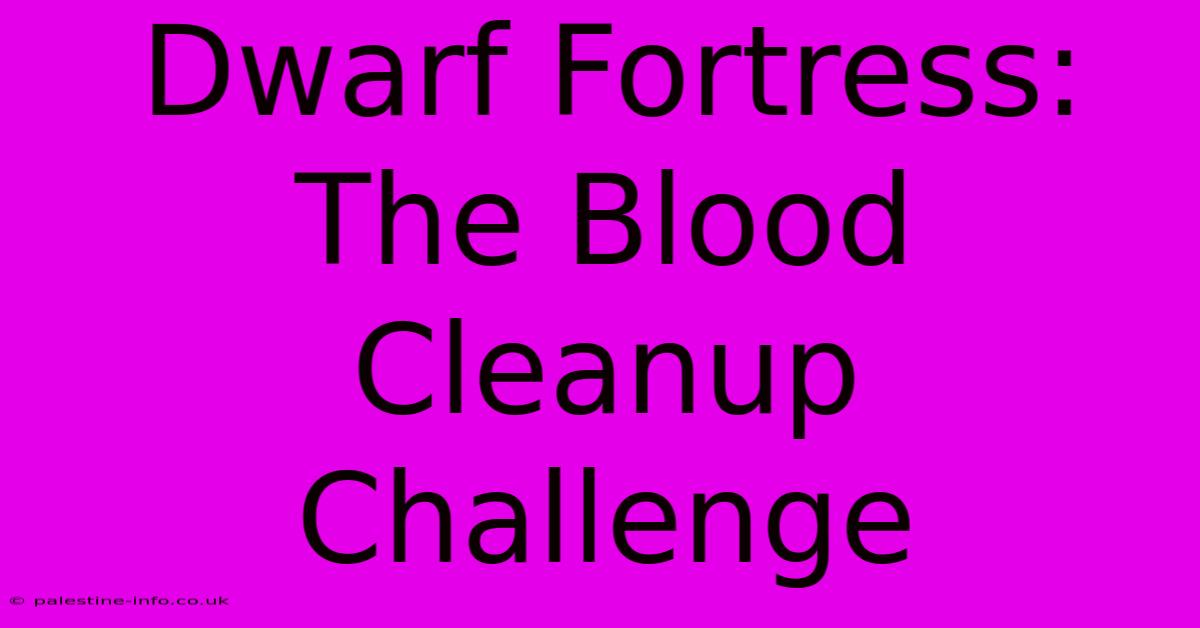 Dwarf Fortress: The Blood Cleanup Challenge