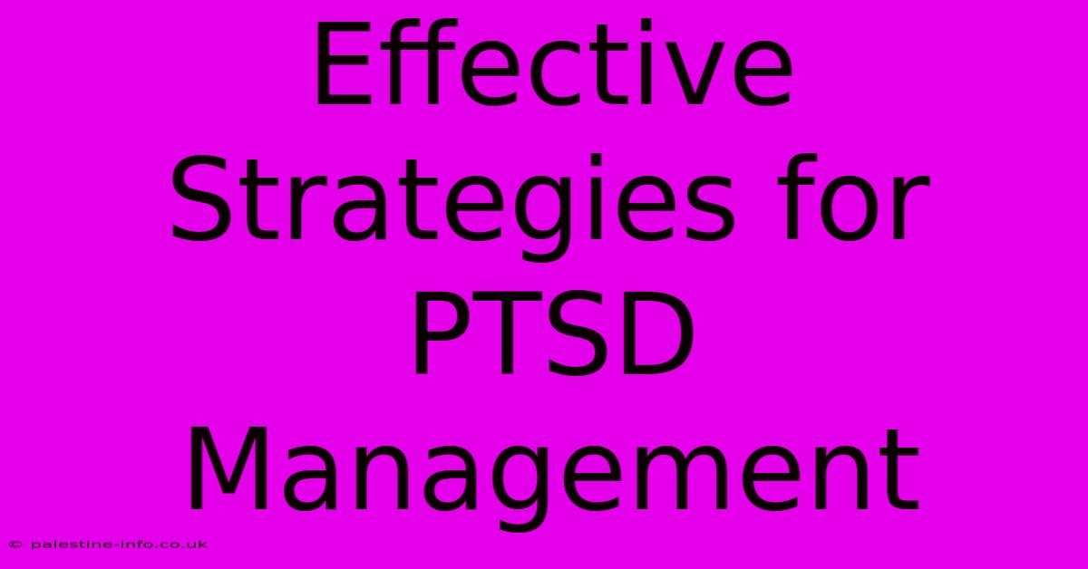 Effective Strategies For PTSD Management