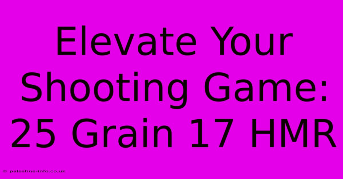 Elevate Your Shooting Game: 25 Grain 17 HMR