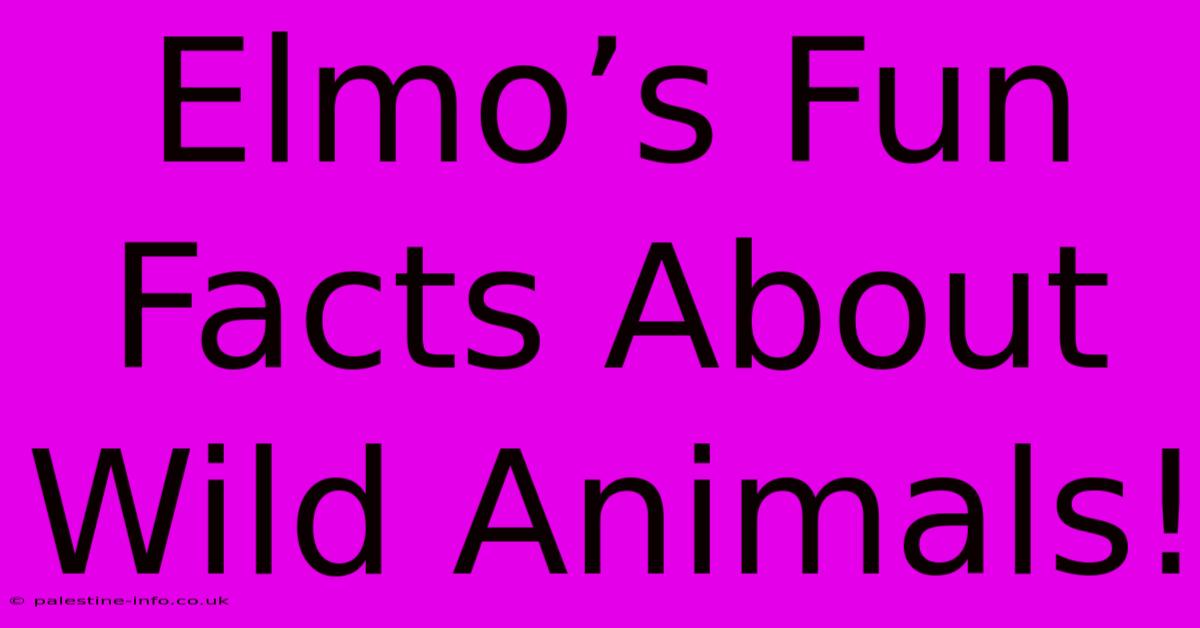 Elmo’s Fun Facts About Wild Animals!