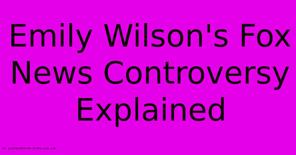 Emily Wilson's Fox News Controversy Explained