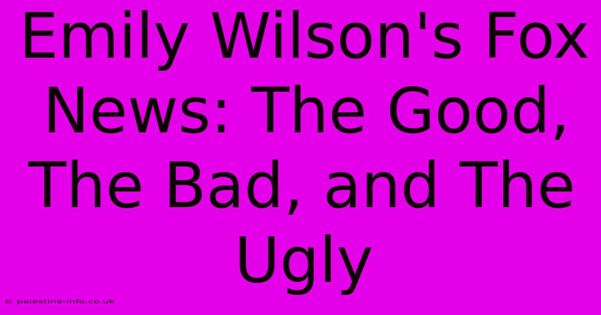 Emily Wilson's Fox News: The Good, The Bad, And The Ugly