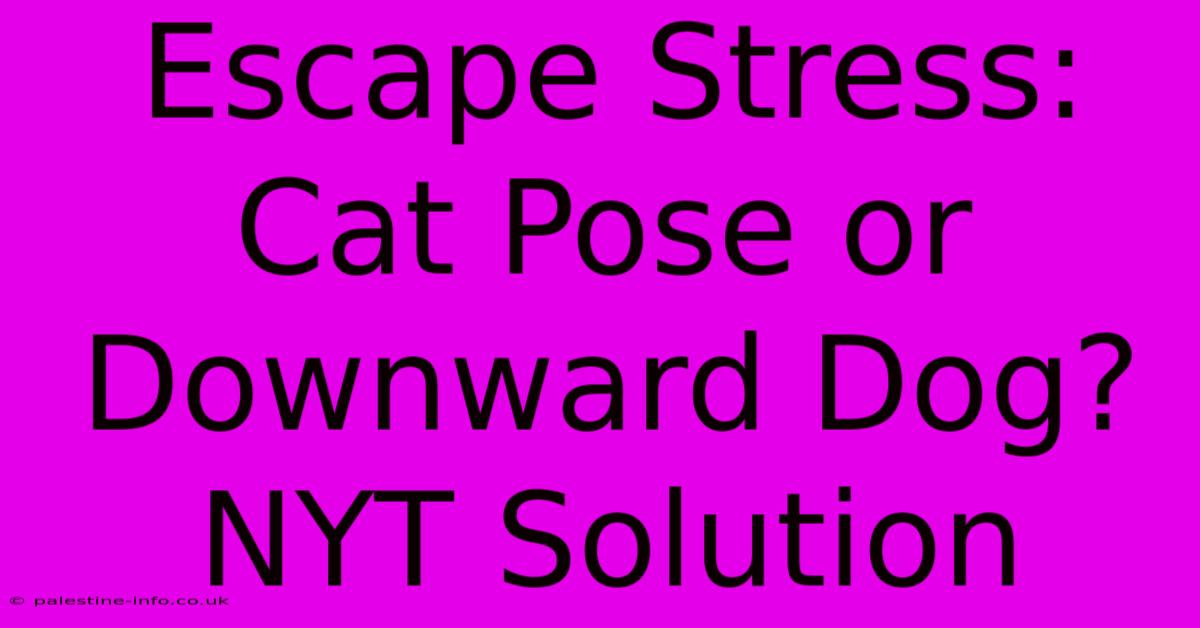 Escape Stress: Cat Pose Or Downward Dog? NYT Solution