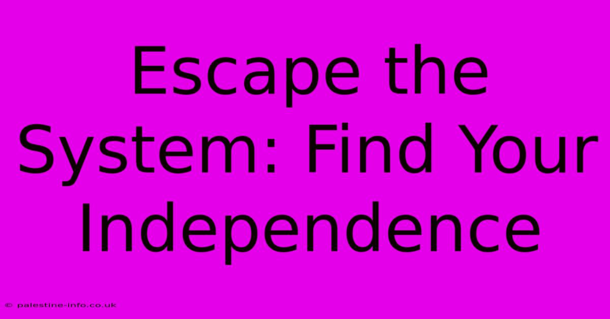 Escape The System: Find Your Independence