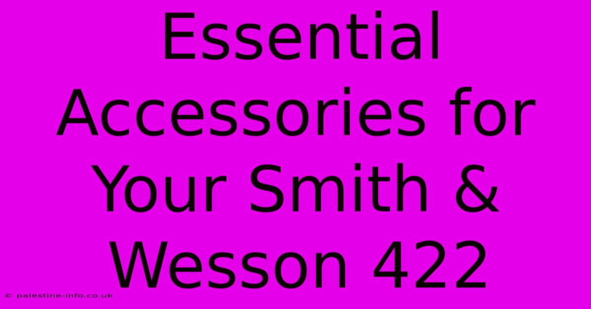 Essential Accessories For Your Smith & Wesson 422