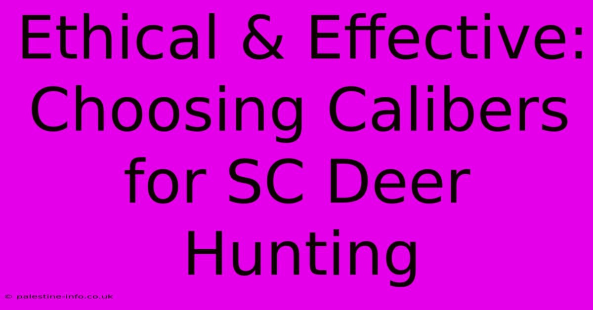 Ethical & Effective: Choosing Calibers For SC Deer Hunting