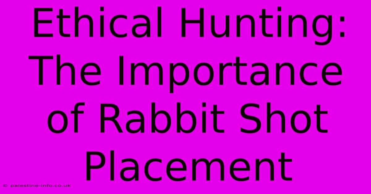 Ethical Hunting: The Importance Of Rabbit Shot Placement